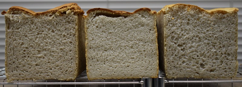 異なる種類のそば粉を使った100％そば粉パン