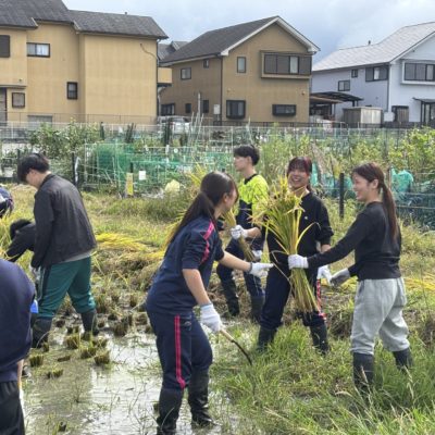 1年生が農学基礎演習で稲刈りをしました！